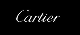 cartier ybgjykg0xkc47blv